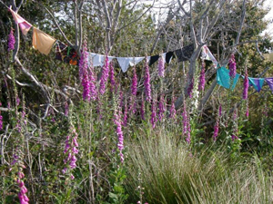 Fox Glove Flags